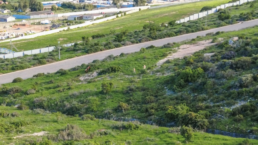 0 Bedroom Property for Sale in Hoogland Western Cape